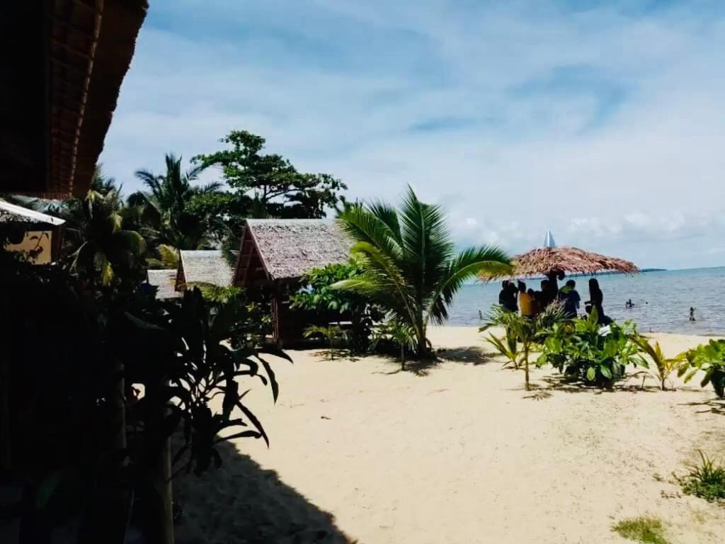 Mecaja Beach House Roxas  エクステリア 写真