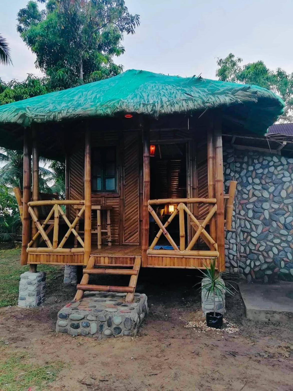 Mecaja Beach House Roxas  エクステリア 写真